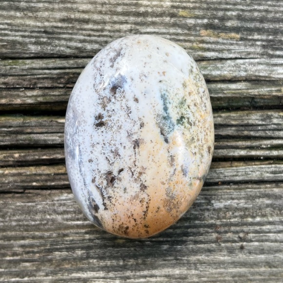 Ocean Jasper Palm - Picture 1 of 5